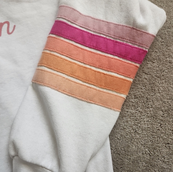 Aviator Nation Pink Dolphin 5 Stripe Stitch Zip Hoodie Size M Unisex - Picture 8 of 12